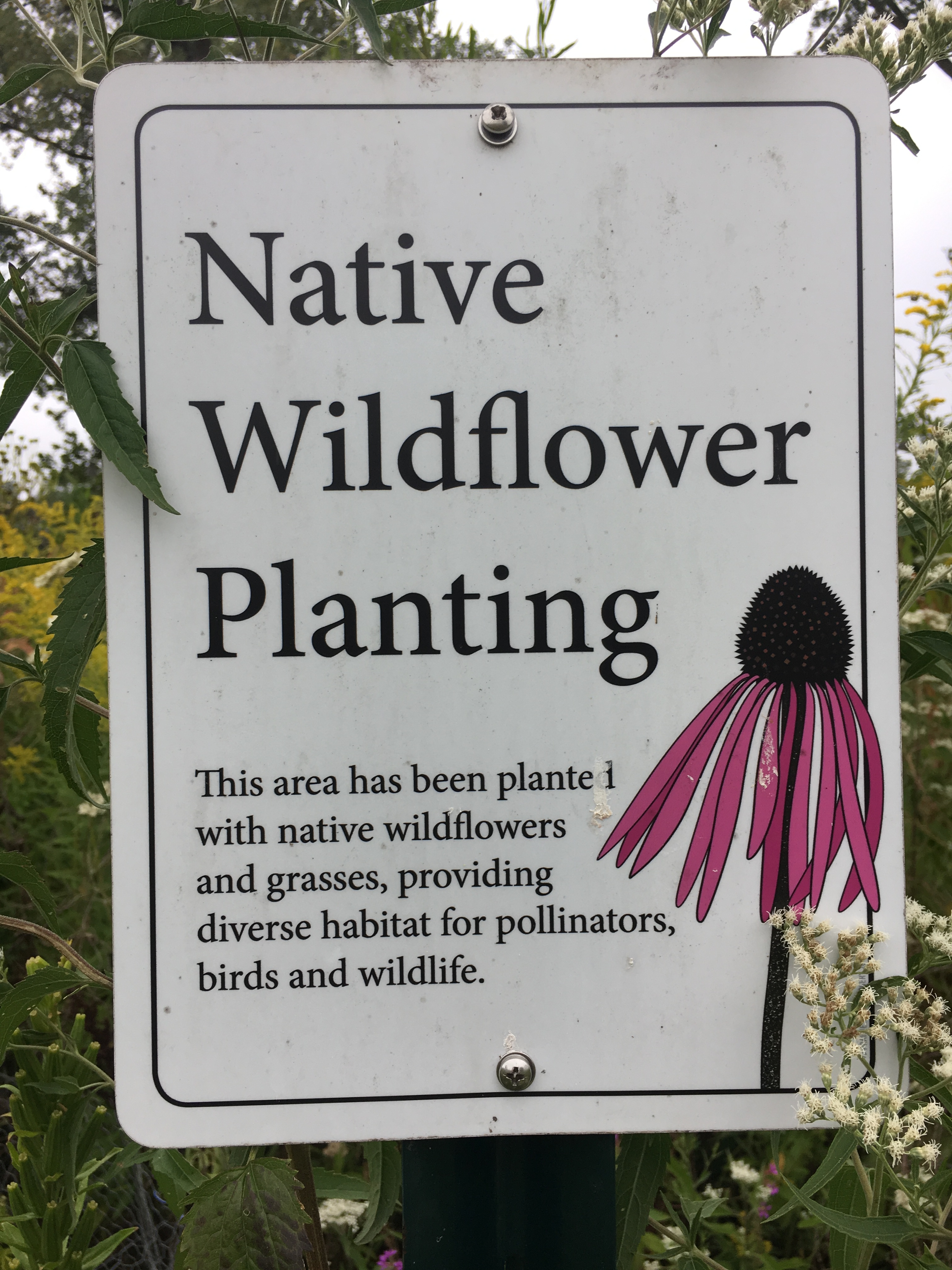 Picture of Pollinator Signs at Wetlands 2